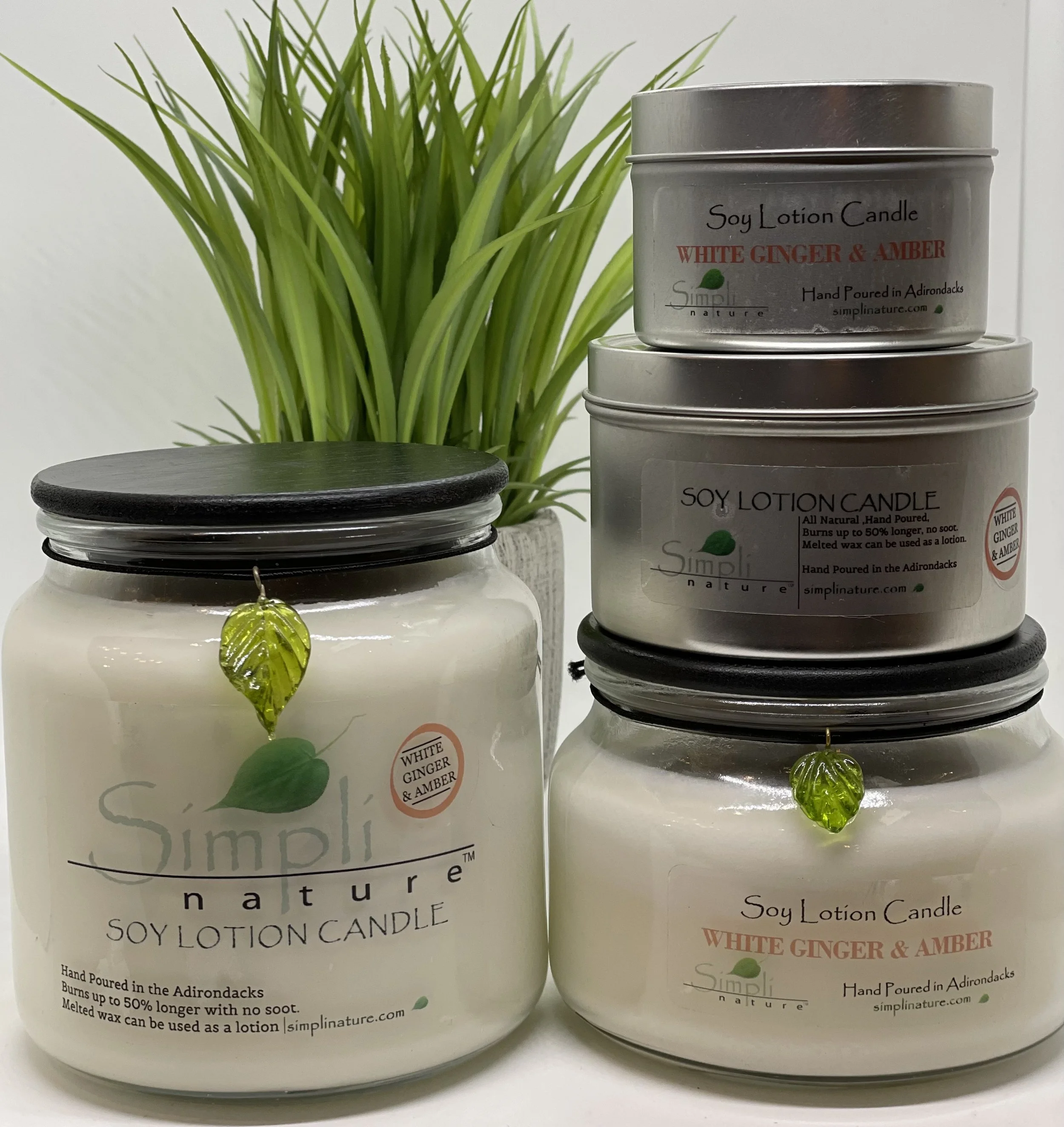 セメンザルライト＆PHYTOGIN V2 セット dzoprobeXtract2_600x.png?v=